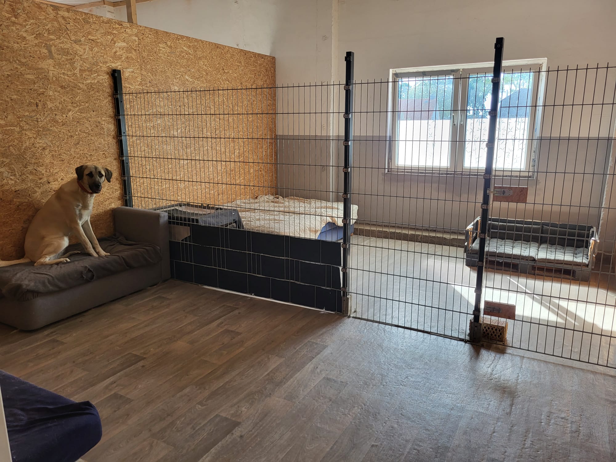 Geräumiger und sicher abgetrennter Ruhebereich in der Hundepension